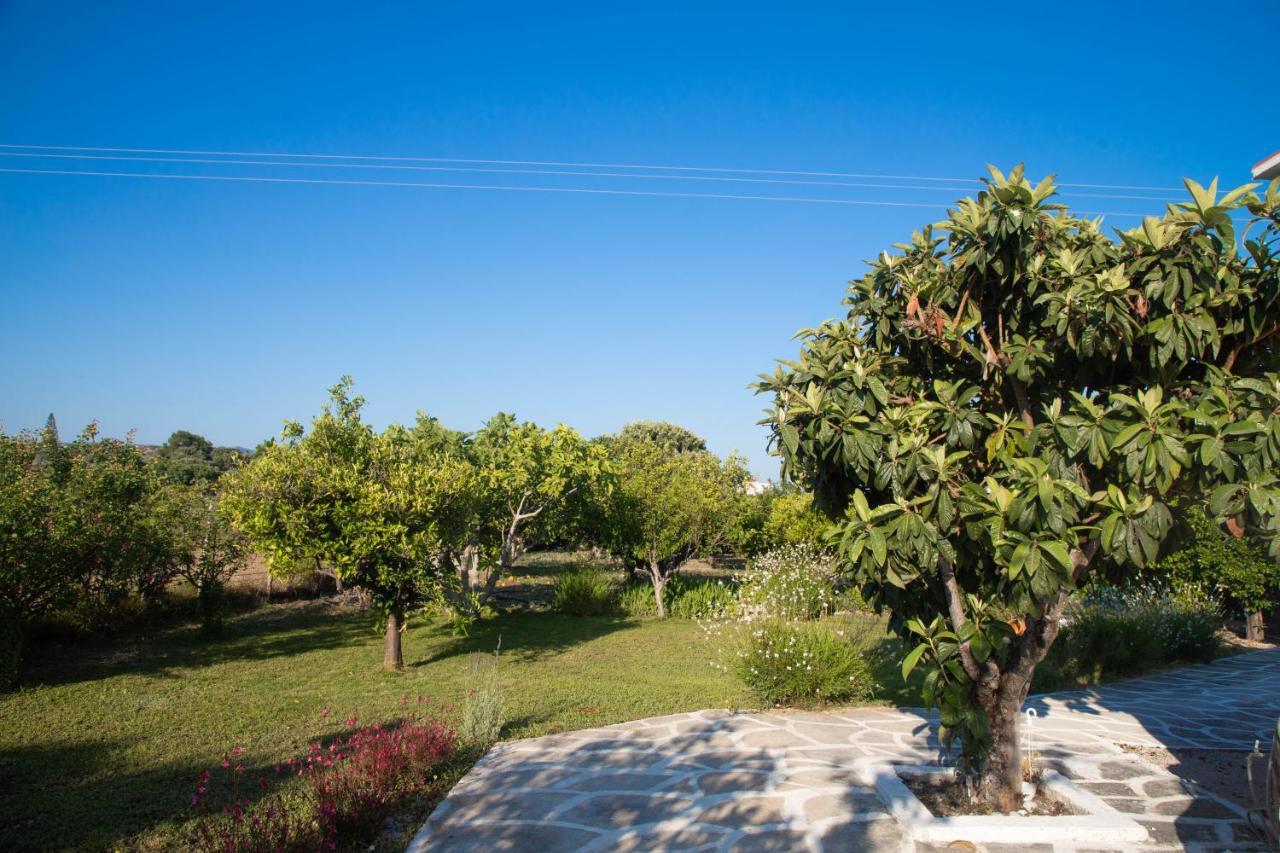 Livadi House Villa Theologos  Exterior photo
